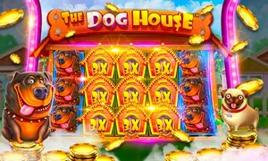 DOG HOUSE